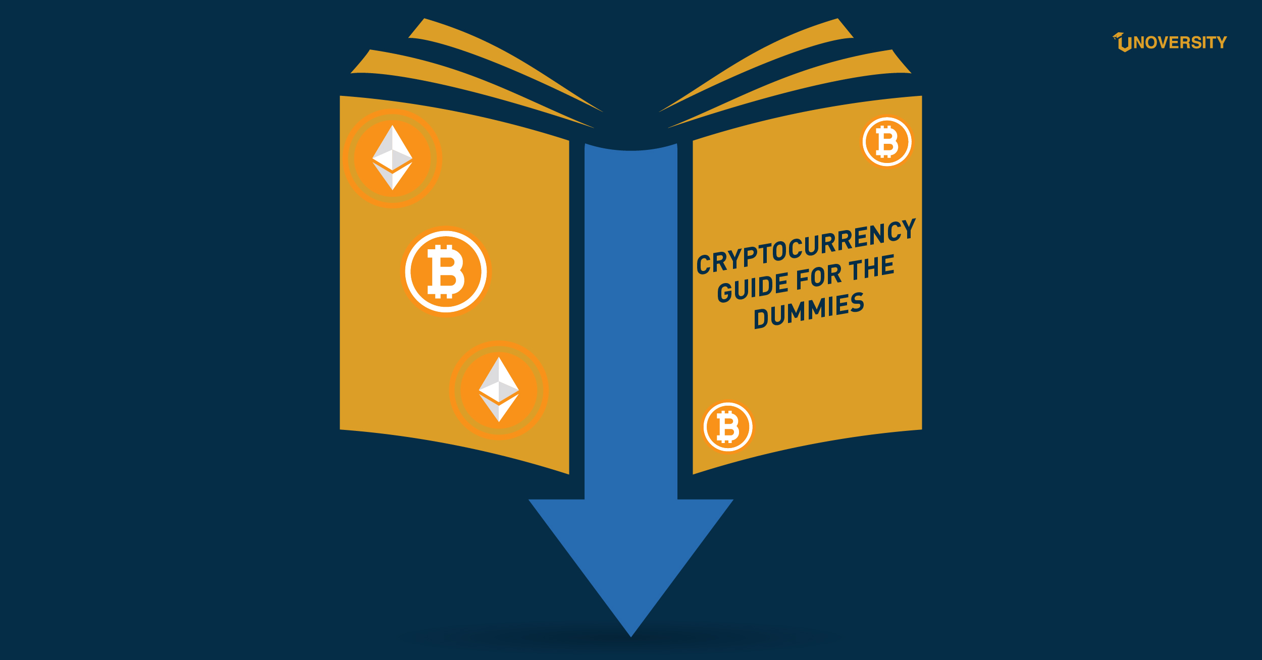 Cryptocurrency guide for the dummies - Unoversity
